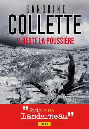 Cover of the book Il reste la poussière : Prix Landerneau Polar 2016 by Sandrine Collette