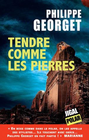 Cover of the book Tendre comme les pierres by Cloé Mehdi