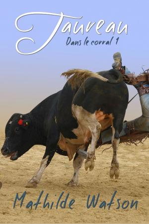 Book cover of Taureau
