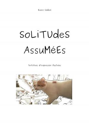 Cover of the book Solitudes assumées by Jed McKenna