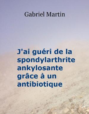 bigCover of the book J'ai guéri de la spondylarthrite ankylosante grâce à un antibiotique by 