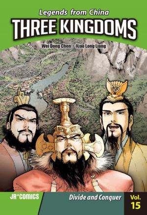 Book cover of Three Kingdoms Volume 15
