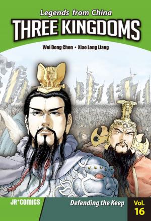 Book cover of Three Kingdoms Volume 16