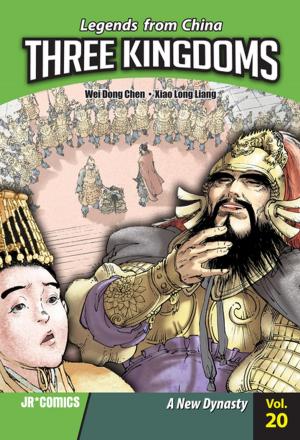 Book cover of Three Kingdoms Volume 20
