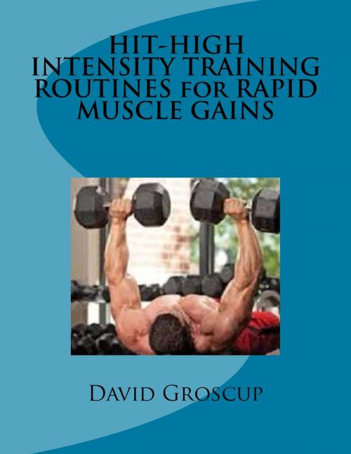 Cover of the book HIT-HIGH INTENSITY TRAINING ROUTINES for RAPID MUSCLE GAINS by David Groscup, David Groscup