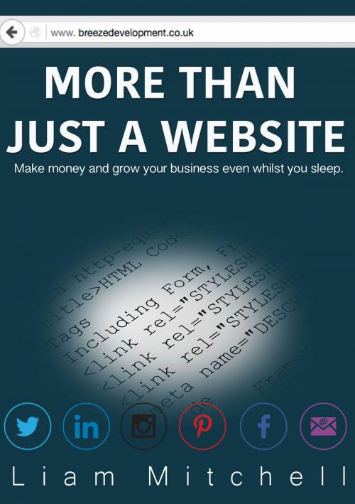 Cover of the book More Than Just A Website by Liam Mitchell, Liam Mitchell
