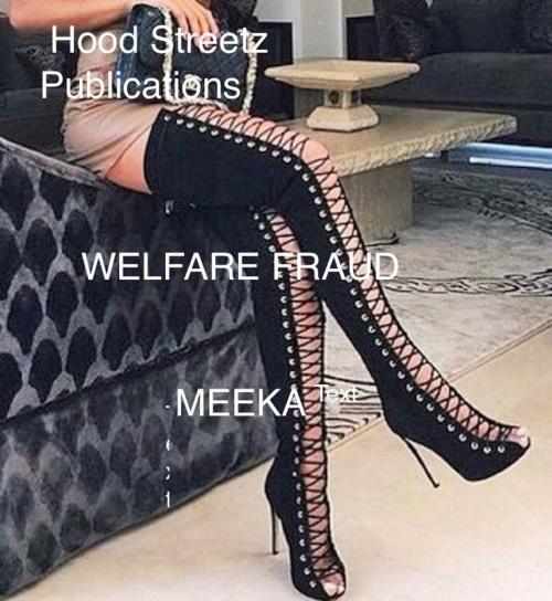 Cover of the book Welfare Fraud by Meeka L, Hood Streetz Publications