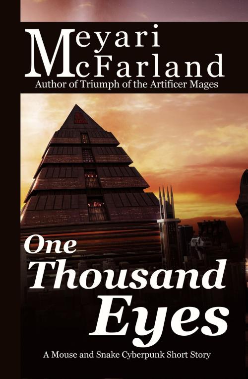 Cover of the book One Thousand Eyes by Meyari McFarland, Mary Raichle