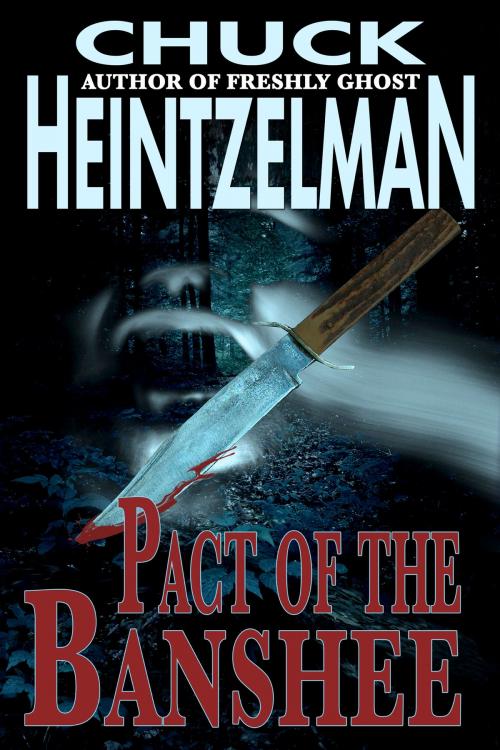 Cover of the book Pact of the Banshee by Chuck Heintzelman, Kydala Publishing, Inc.