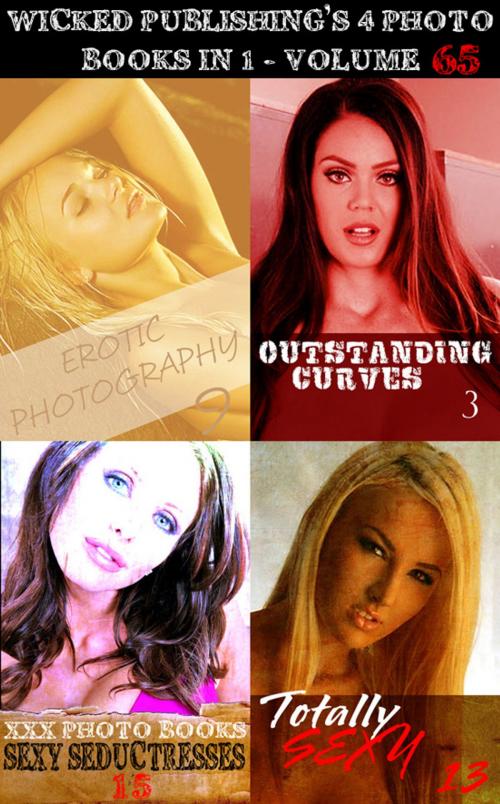 Cover of the book Wicked Publishing's 4 Photo Books In 1 - Volume 65 by Miranda Frost, Brianna Moss, Emma Land, Wicked Publications