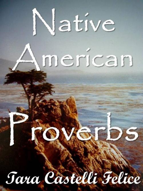 Cover of the book Native American proverbs by Tara Castelli Felice, Madreterra