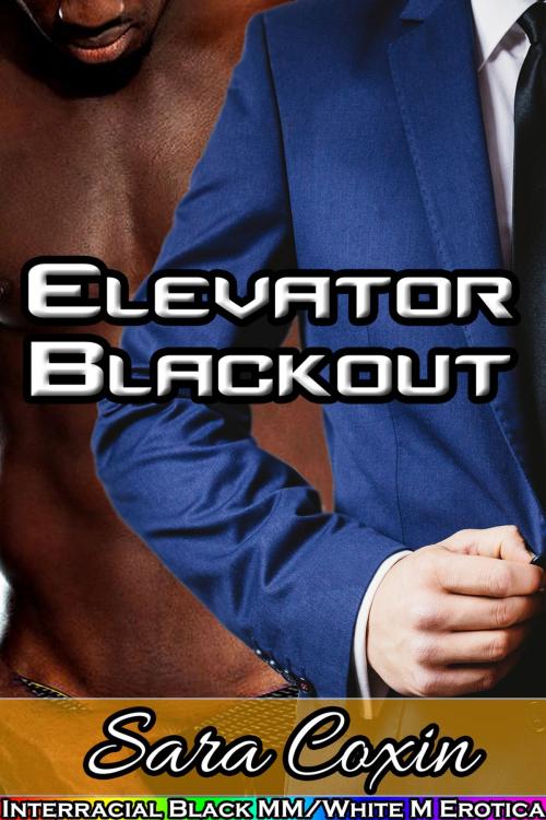 Cover of the book Elevator Blackout by Sara Coxin, Sara Coxin