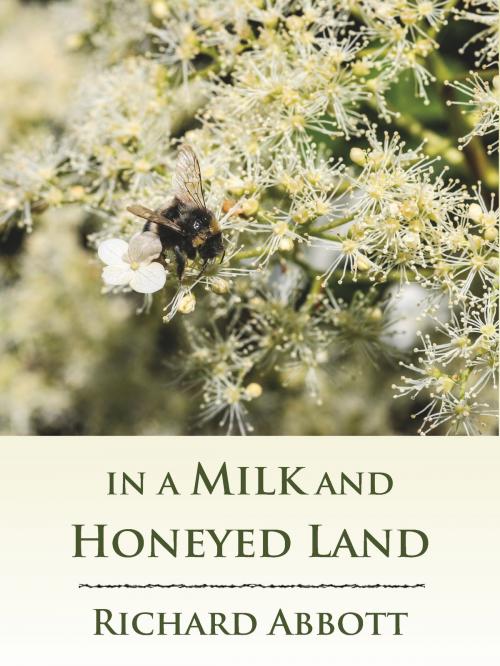 Cover of the book In a Milk and Honeyed Land Sample by Richard Abbott, Matteh Publications