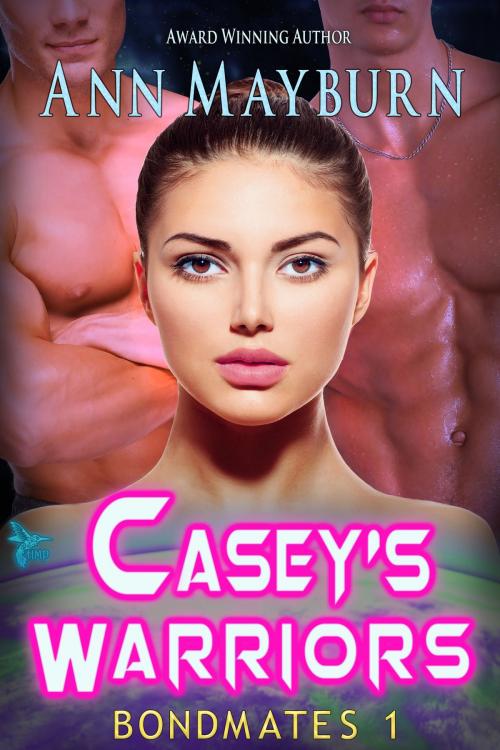 Cover of the book Casey's Warriors by Ann Mayburn, Honey Mountain Publishing
