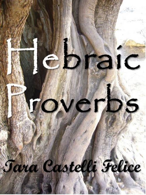 Cover of the book Proverbi Ebraici by Tara Castelli Felice, Madreterra