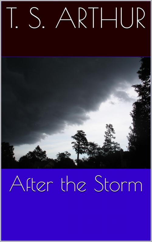 Cover of the book After the Storm by T. S. Arthur, CP