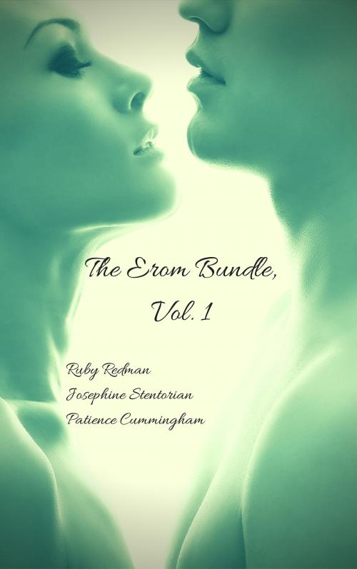 Cover of the book The Erom Bundle by Ruby Redman, Josephine A. Stentorian, Patience Cummingham, The Eroticatorium