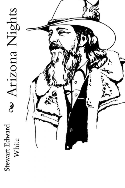 Cover of the book Arizona Nights (Illustrated Edition) by Stewart Edward White, N. C. Wyeth, Steve Gabany