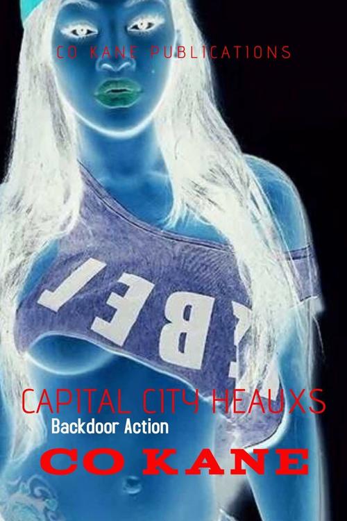 Cover of the book CAPITAL CITY HEAUXS by CO KANE, Co Kane Publications