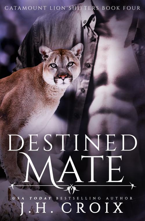 Cover of the book Destined Mate by J.H. Croix, J.H. Croix