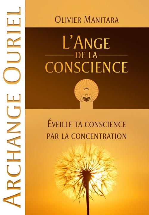 Cover of the book L'Ange de la conscience by Olivier Manitara, Editions Essenia