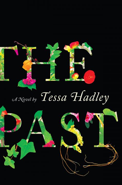 Cover of the book The Past by Tessa Hadley, Harper