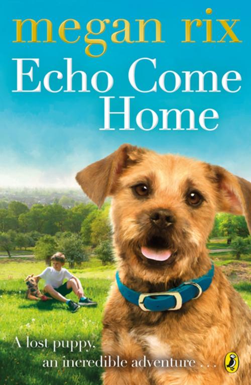 Cover of the book Echo Come Home by Megan Rix, Penguin Books Ltd