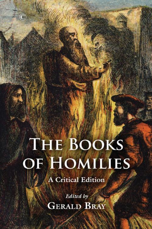 Cover of the book The Books of Homilies by Gerald Bray, James Clarke & Co