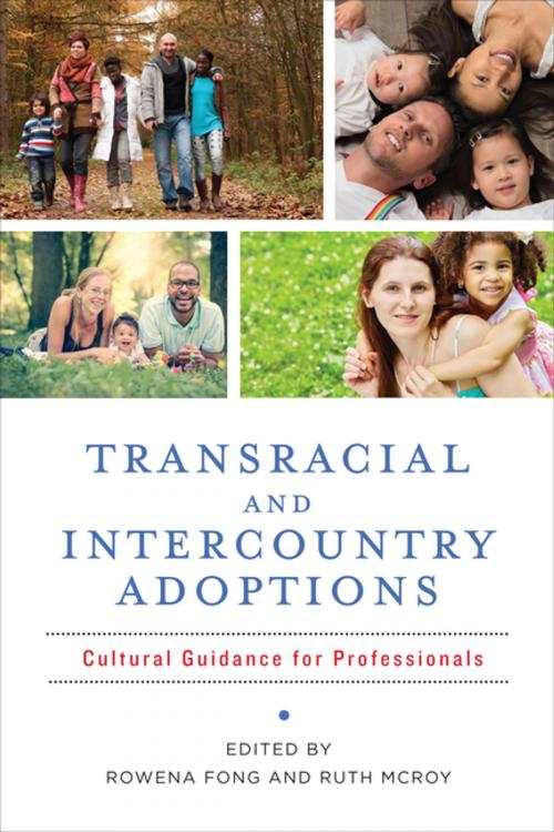 Cover of the book Transracial and Intercountry Adoptions by , Columbia University Press