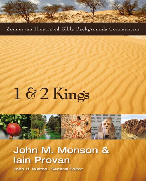 Cover of the book 1 and 2 Kings by John M. Monson, Iain Provan, John H. Walton, Zondervan Academic