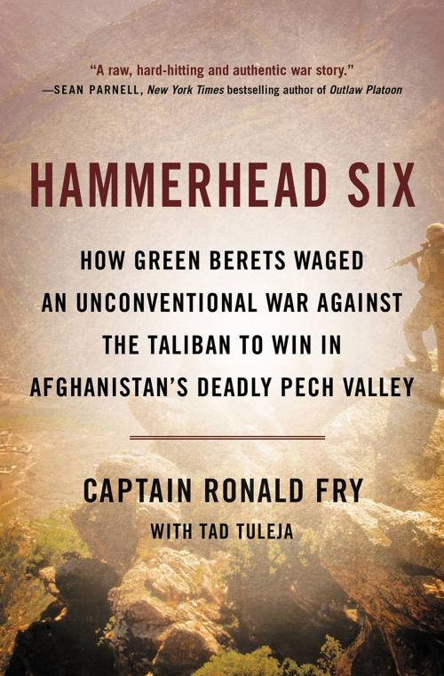 Cover of the book Hammerhead Six by Ronald Fry, Hachette Books