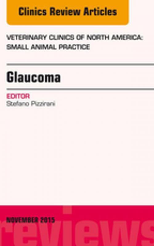 Cover of the book Glaucoma, An Issue of Veterinary Clinics of North America: Small Animal Practice 45-6, E-Book by Stefano Pizzirani, Elsevier Health Sciences