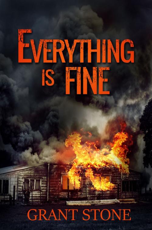 Cover of the book Everything is Fine by Grant Stone, Grant Stone
