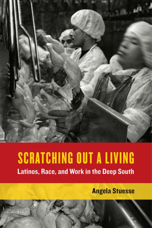 Cover of the book Scratching Out a Living by Angela Stuesse, University of California Press