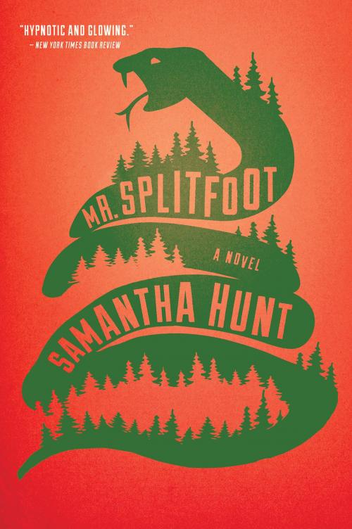 Cover of the book Mr. Splitfoot by Samantha Hunt, HMH Books
