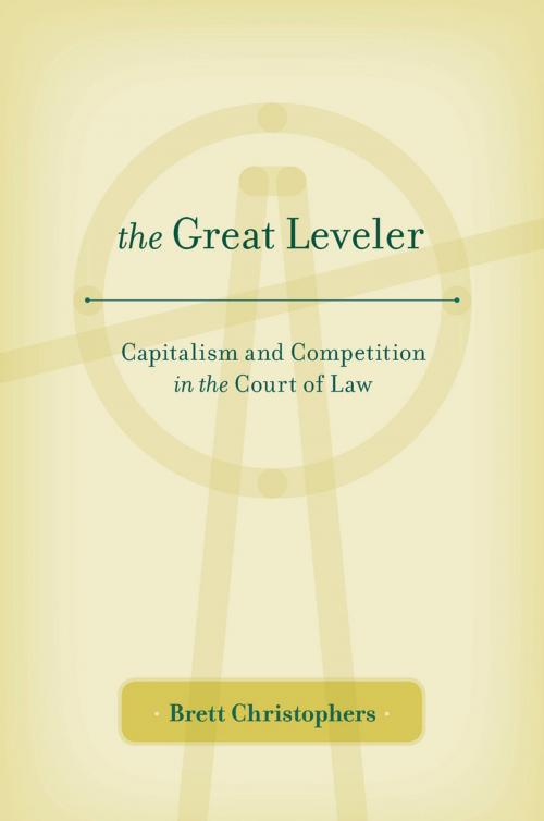 Cover of the book The Great Leveler by Brett Christophers, Harvard University Press