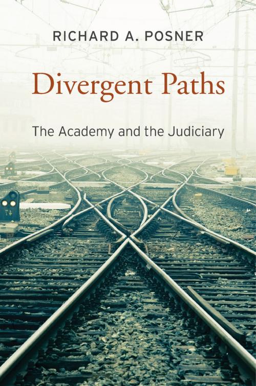 Cover of the book Divergent Paths by Richard A. Posner, Harvard University Press