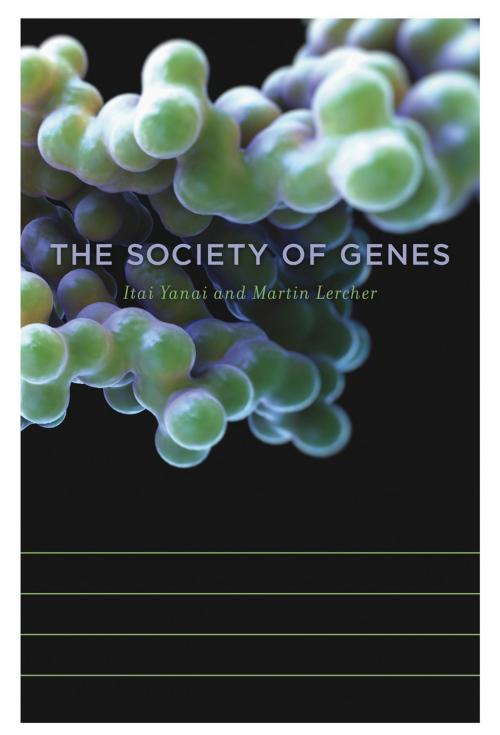 Cover of the book The Society of Genes by Itai Yanai, Lercher Martin, Harvard University Press
