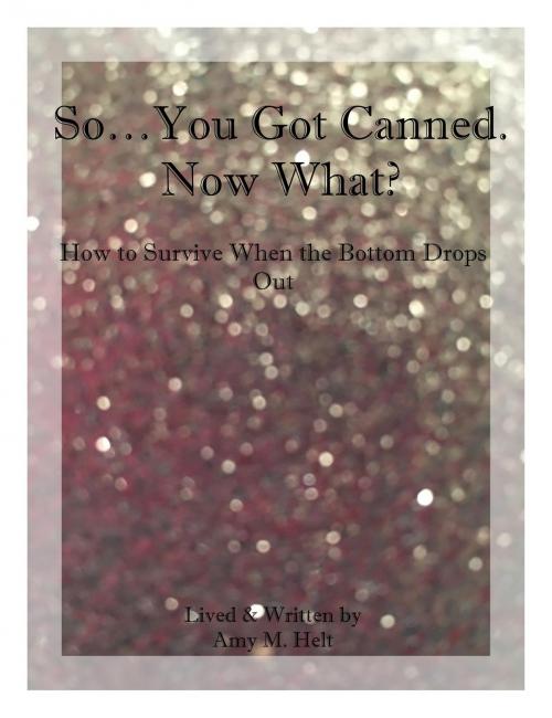 Cover of the book So...You Got Canned. Now What? by Amy M. Helt, Amy M. Helt