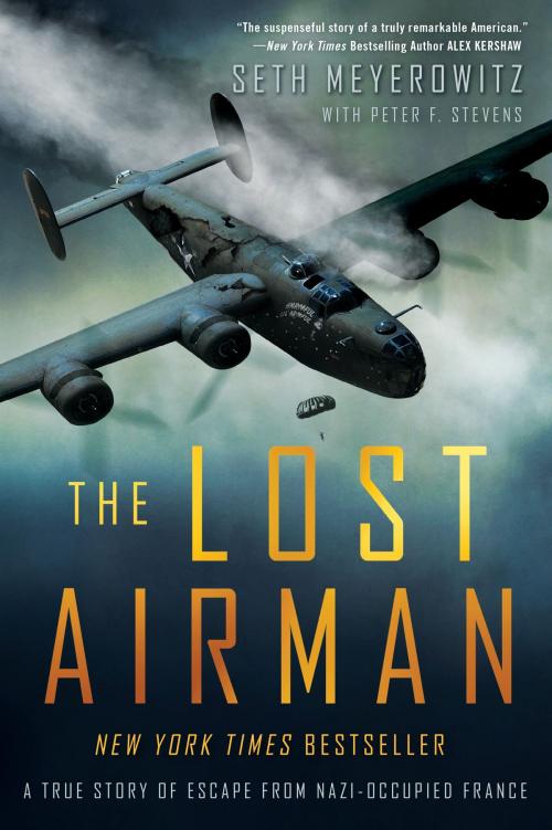 Cover of the book The Lost Airman by Seth Meyerowitz, Peter Stevens, Penguin Publishing Group