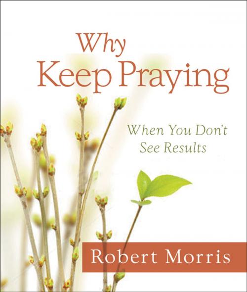 Cover of the book Why Keep Praying? by Robert Morris, Thomas Nelson