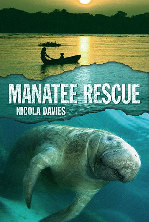 Cover of the book Manatee Rescue by Nicola Davies, Candlewick Press