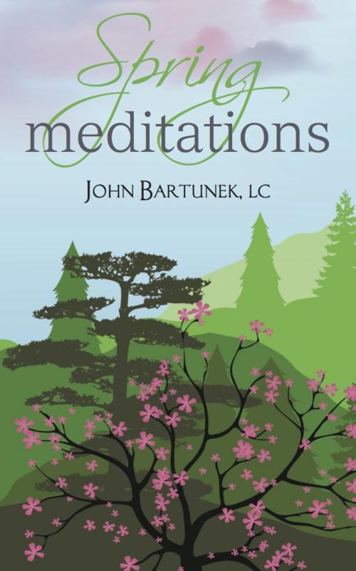 Cover of the book Spring Meditations by Father John Bartunek LC, SThD, Liguori Publications