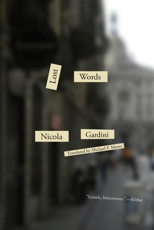 Cover of the book Lost Words by Nicola Gardini, New Directions