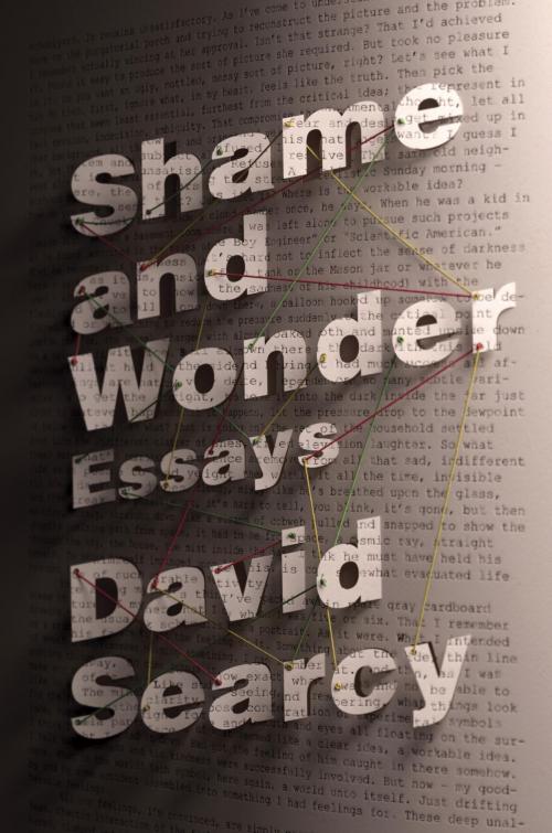 Cover of the book Shame and Wonder by David Searcy, Random House Publishing Group