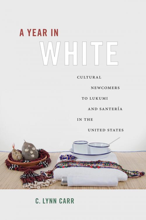 Cover of the book A Year in White by C. Lynn Carr, Rutgers University Press