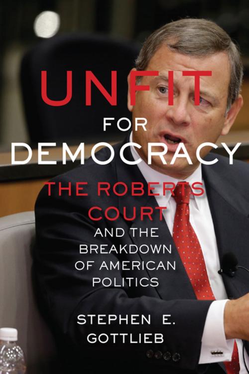 Cover of the book Unfit for Democracy by Stephen E. Gottlieb, NYU Press