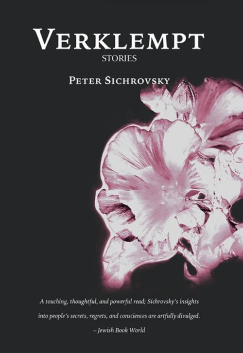 Cover of the book Verklempt by Peter Sichrovsky, DoppelHouse Press