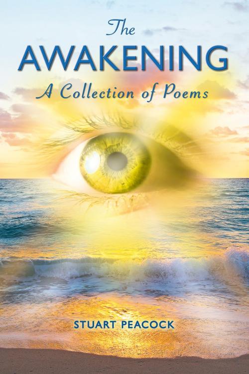 Cover of the book The Awakening by Stuart Peacock, Andrews UK