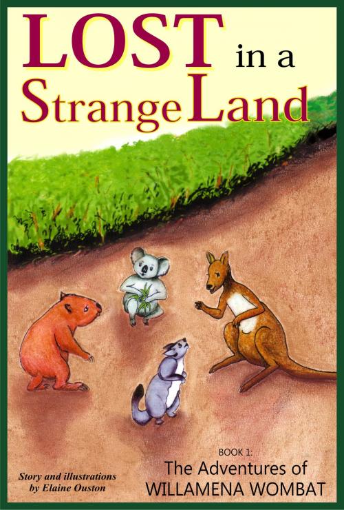 Cover of the book Lost in a Strange Land by Elaine Ouston, Morris Publishing Australia